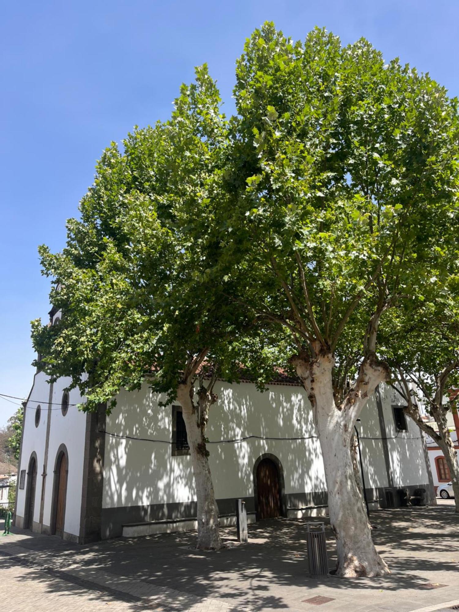 Apartamento Duplex En Fontanales Agua de Fontanales エクステリア 写真